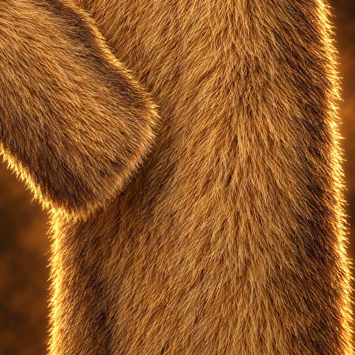 Valerio Tipped Faux Fur Long Overcoat for Men in yellow dyed tip, faux fur texture close-up