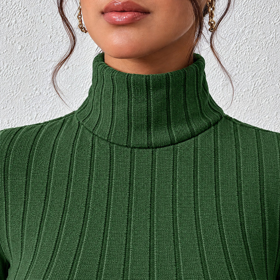 Gemma Ribbed Turtleneck Long Sleeve Bodycon Mini Dress